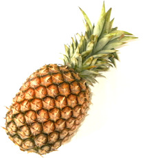 Ananas-1.jpg